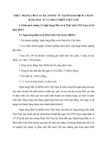 THỰC TRẠNG CHO VAY DỰ ÁN ĐẦU TƯ TẠI SỞ GIAO DỊCH 1 NGÂN HÀNG ĐẦU TƯ VÀ PHÁT TRIỂN VIỆT NAM