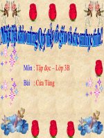 Tập đọc L3 Tuần 13 Bài Cửa Tùng