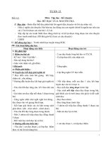 Giao an lop3, tuan 15 ( CKTKN )