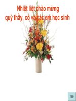 Giai He phuong tinh bang PP cong