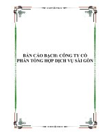 BẢN CÁO BẠCH: CÔNG TY CỔ PHẨN TỔNG HỢP DỊCH VỤ SÀI GÒN
