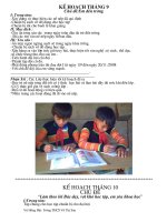 kế hoạch đội TNTP HCM