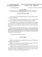 Bieu mau va huong dan cong tac thi dua