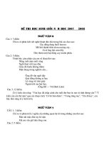 ĐỀ THI VĂN - HSG