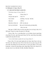 PHÂN TÍCH  TÀI CHÍNH CÔNG TY MAY 10