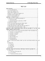 Chuyên đề môn học thương mại điện tử: Phân tích thực trạng hoạt động thương mại điện tử tại Việt Nam trong những năm gần đây