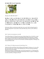 Kĩ thuật chiết cây mai vàng đại thụ