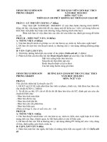 Đề thi GVG 2010-2011