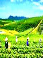 Quyền và nghĩa vụ lao động