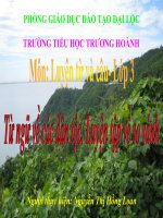 Từ ngữ về các dân tộc. Luyện tập về so sánh