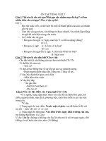 Ôn tập Tiếng Việt 7 học kì II