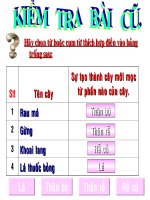 bai 27- sinh san sinh duong do nguoi