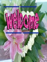 Unit 5 B1,2 ( cuc hot )