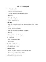 Tiết 43:Từ Đồng Âm