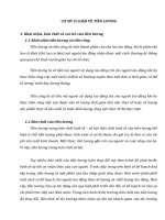 CƠ SỞ LÍ LUẬN VỀ TIỀN LƯƠNG