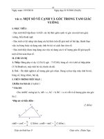 hình 9 từ T11 đến T19