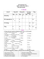 DE KIEM TRA HOC KY I_TIENG ANH 6_2