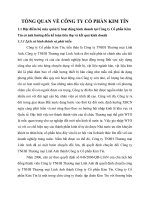 TỔNG QUAN VỀ CÔNG TY CỔ PHẦN KIM TÍN