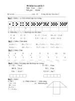 De kiem tra mon Toan + Tieng viet lóp