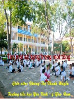 toan 2: Tim mot so hang trong mot tong