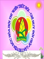 Bộ câu hỏi kiến thức Đội TNTP Hồ Chí Minh