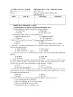 Đề tham khảo thi HKII-Văn 6