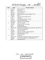 GIAO AN LOP 4- TUAN 19 CKTKN