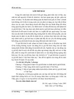 Thực trạng chính sách hối đoái tại Việt Nam