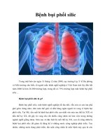 Bệnh bụi phổi silic