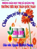 KHÔNG KHÍ BAO GỒM NHỮNG THÀNH PHẦN NÀO?