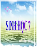 Môi trường sống và sự vận động di chuyển