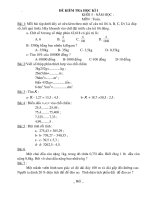 De & dap an Toan KHI