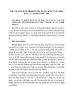 THỰC TRẠNG CHUYỂN DỊCH CƠ CẤU NGÀNH KINH TẾ CỦA TỈNH HÀ NAM GIAI ĐOẠN 1995- 1999