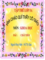 chất dẻo thiGVG10-11 sáu