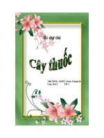 cay thuoc