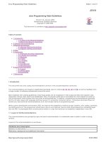 Java Programming Style Guidelines