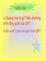 Bài 18: Nguyên phân