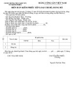 BB kiểm phiếu XL chi bộ, đảng bộ