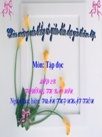 GÀ TỈ TÊ VỚI GÀ