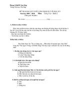 De KT HKI monTV lop2 -