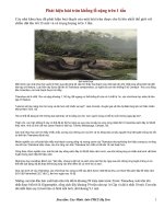 Phát hiện hóa thạch loài trăn khổng lồ nặng trên 1 tấn