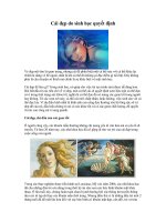 Cái đẹp được quyết định từ...