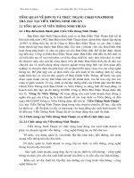 TỔNG QUAN VỀ ĐƠN VỊ VÀ THỰC TRẠNG CSKH VINAPHONE TRẢ SAU TẠI VIỄN THÔNG NINH THUẬN