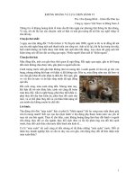 KHỦNG HOẢNG VÀ LỰA CHỌN HÀNH VI