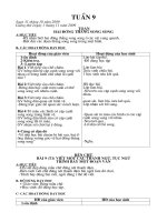 Giáo án chiều lớp 4 tuần 9- 13 (2cột)