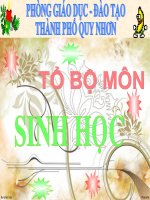 Báo cáo chuyên đề