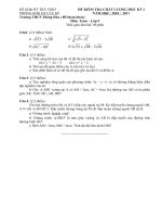 ĐỀ THI HỌC KỲ I TOÁN 9 CÓ ĐÁP ÁN (2010-2011)