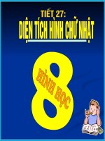 Tiết 27: Diện tích hình chữ nhật