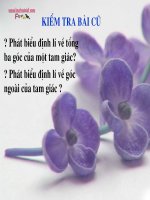 Chuong II tam giac.Tiet 20. hai tam giac bang nhau.