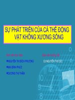 PHAT TRIEN DONG VATPHAT TRIEN DONG VAT